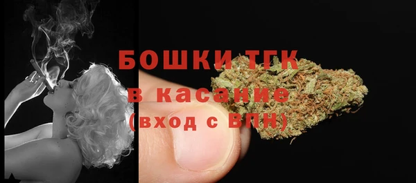 мет Алексин