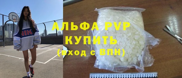 мет Алексин