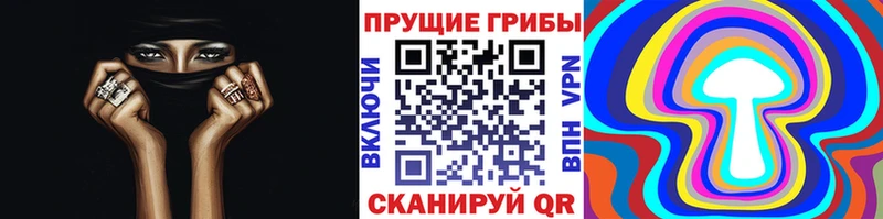 Псилоцибиновые грибы GOLDEN TEACHER где купить наркоту блэк спрут вход Большой Камень